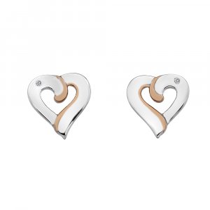 Strieborné náušnice Hot Diamonds Breeze RG DE546