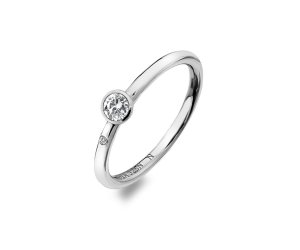 Strieborný prsteň Hot Diamonds Willow DR206