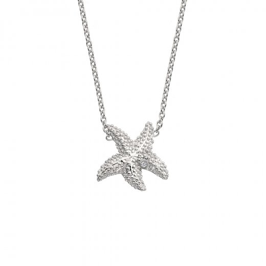 Strieborný náhrdelník Hot Diamonds Daisy RG DN132